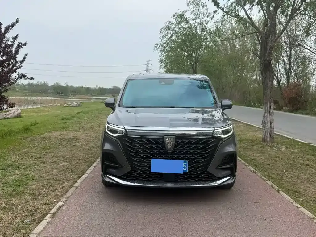 Roewe iMAX8 2022 из CN, фото 6