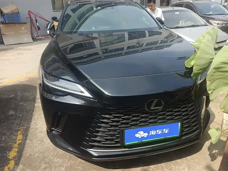 Lexus RX New Energy 2024 из CN, фото 10