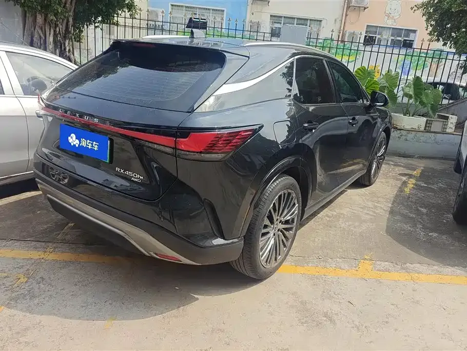 Lexus RX New Energy 2024 из CN, фото 9