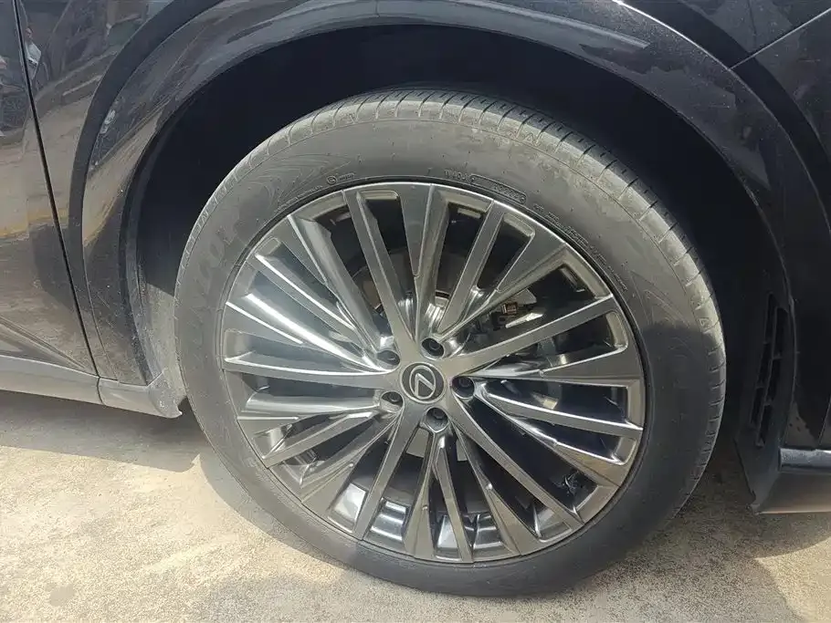 Lexus RX New Energy 2024 из CN, фото 6