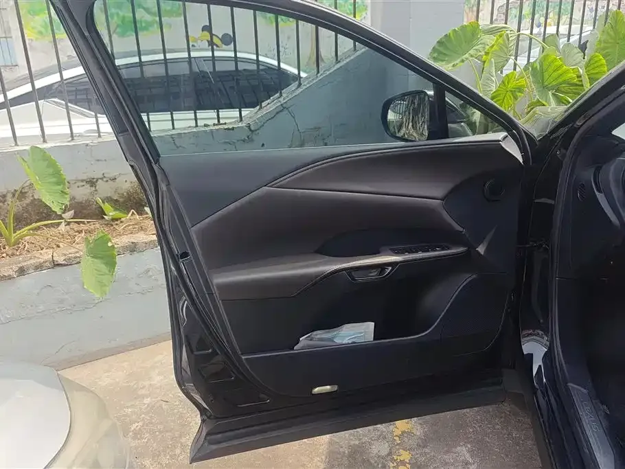 Lexus RX New Energy 2024 из CN, фото 3