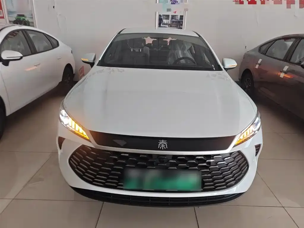 BYD Qin PLUS — фото 3