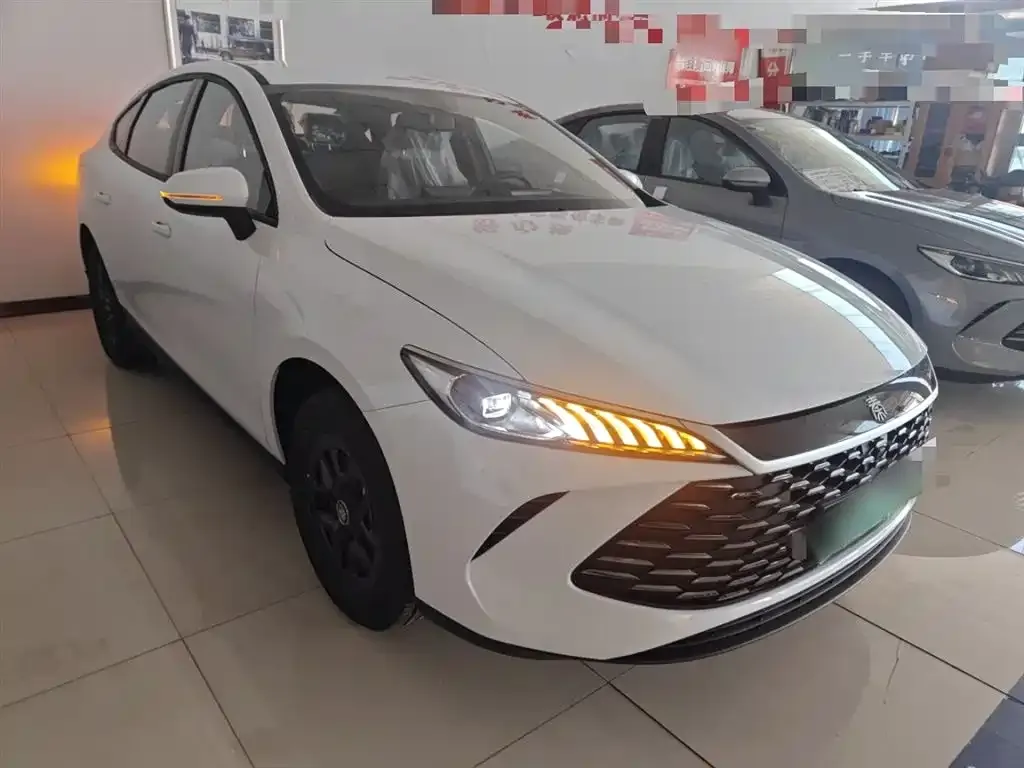 BYD Qin PLUS — фото 5