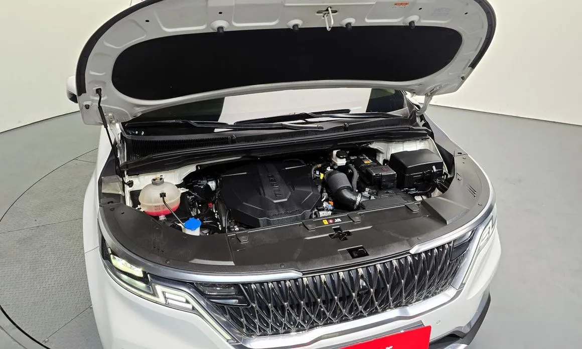 Kia Carnival — фото 10