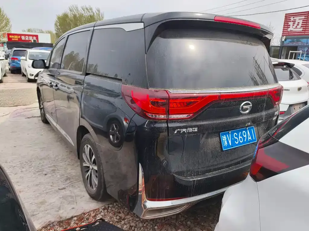 GAC Motor Trumpchi M8 2025 из CN, фото 6