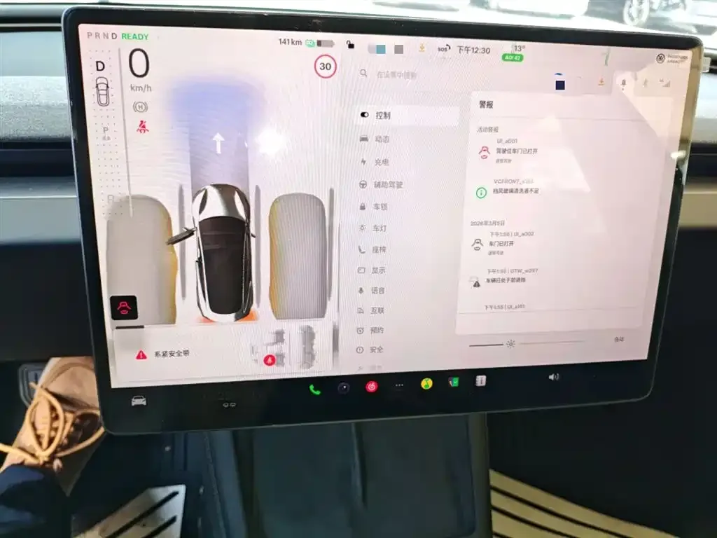 Tesla Model 3 2025 из CN, фото 3