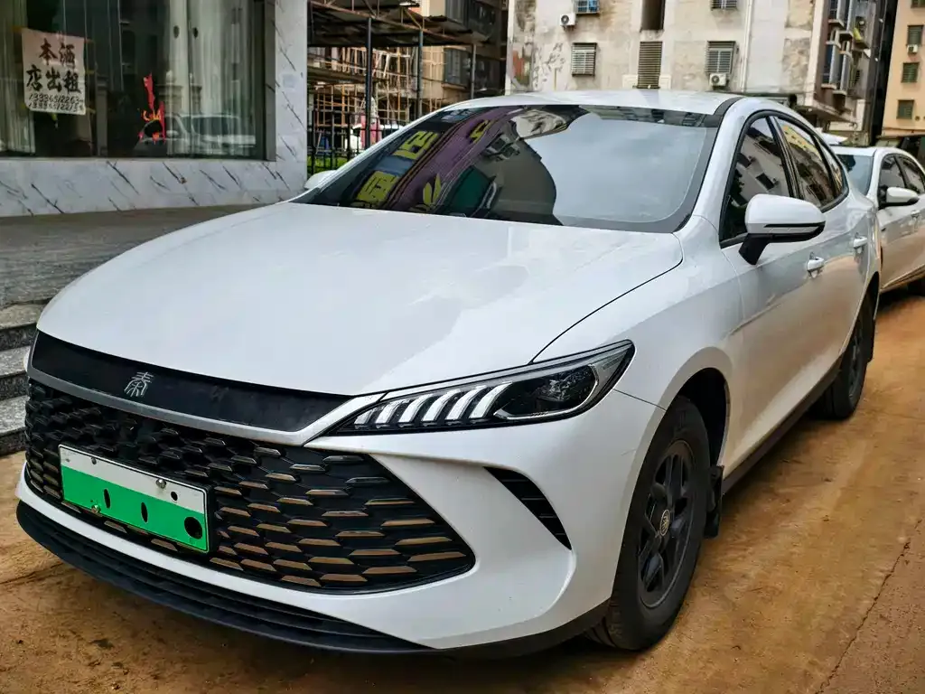 BYD Qin PLUS — фото 1