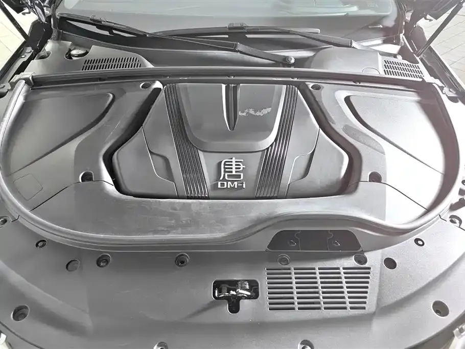 BYD Tang New Energy 2023 из CN, фото 6