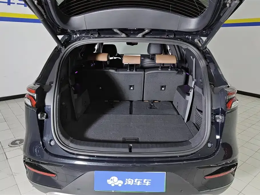 BYD Tang New Energy 2023 из CN, фото 5