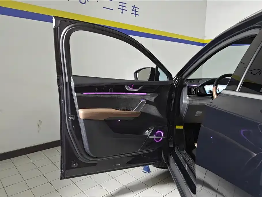 BYD Tang New Energy 2023 из CN, фото 2