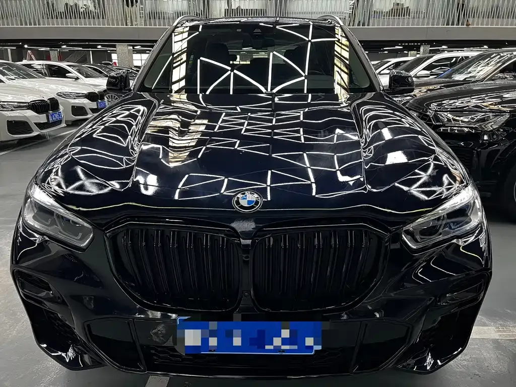 BMW X5 (Import) 2022 из CN, фото 9
