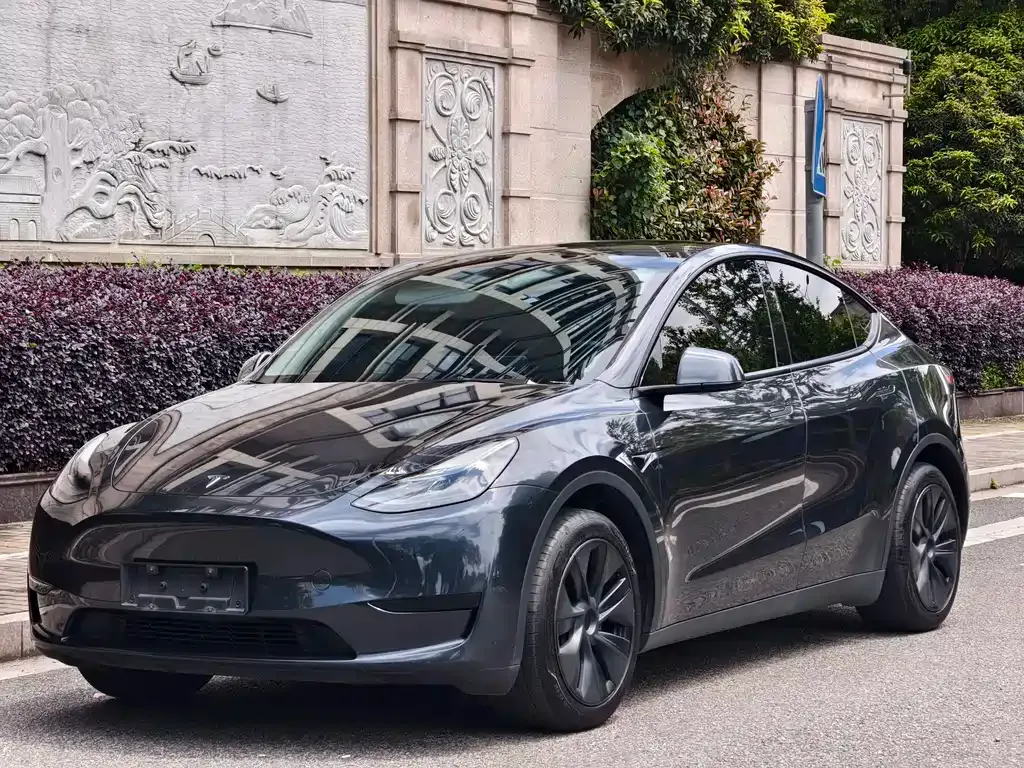 Tesla Model Y 2024 из CN, фото 1