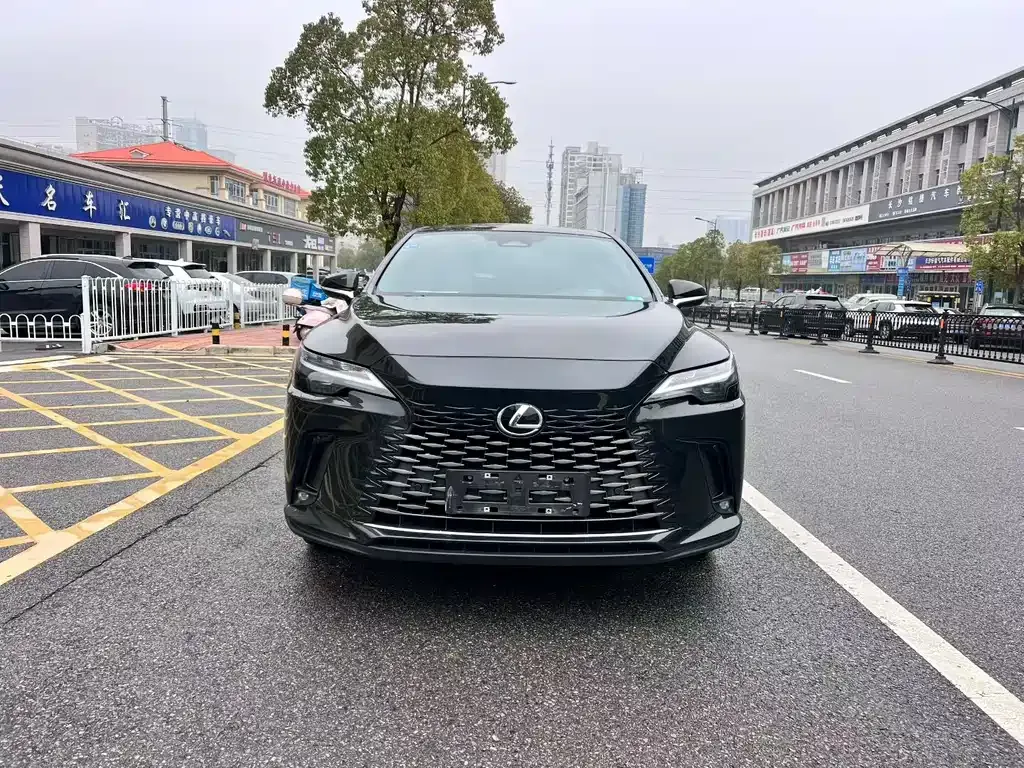 Lexus RX — фото 9