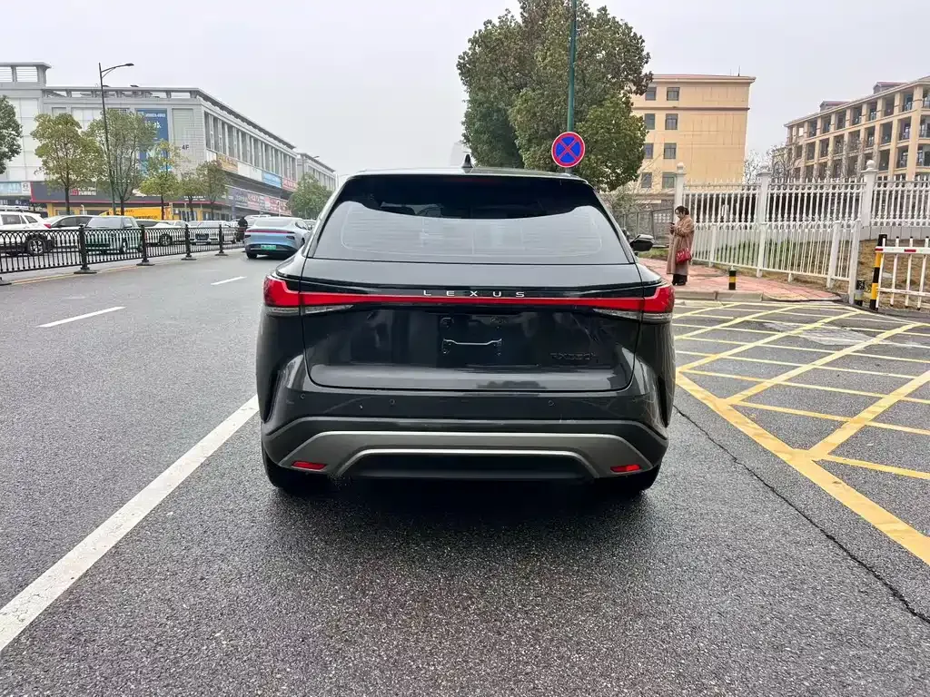 Lexus RX — фото 10