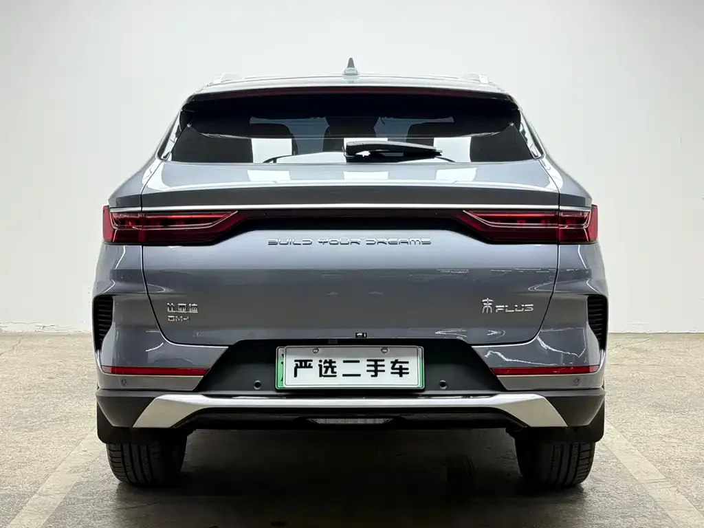 BYD PLUS New Energy — фото 8