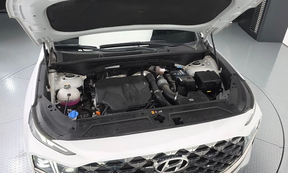 Hyundai Santafe 2022 из KR, фото 9