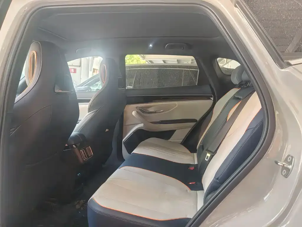 BYD PLUS New Energy 2023 из CN, фото 3
