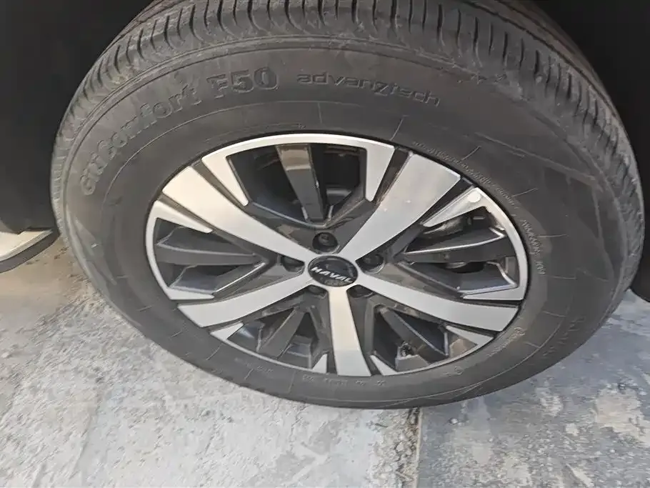 Haval Big Dog 2022 из CN, фото 8