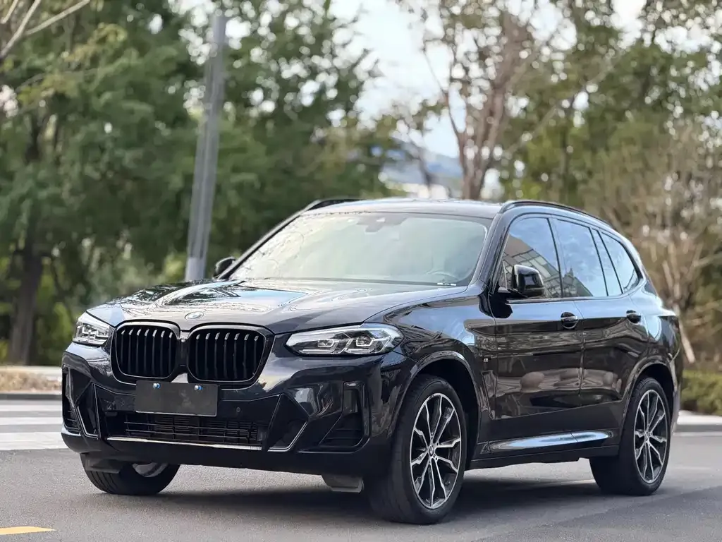 BMW X3 — фото 1