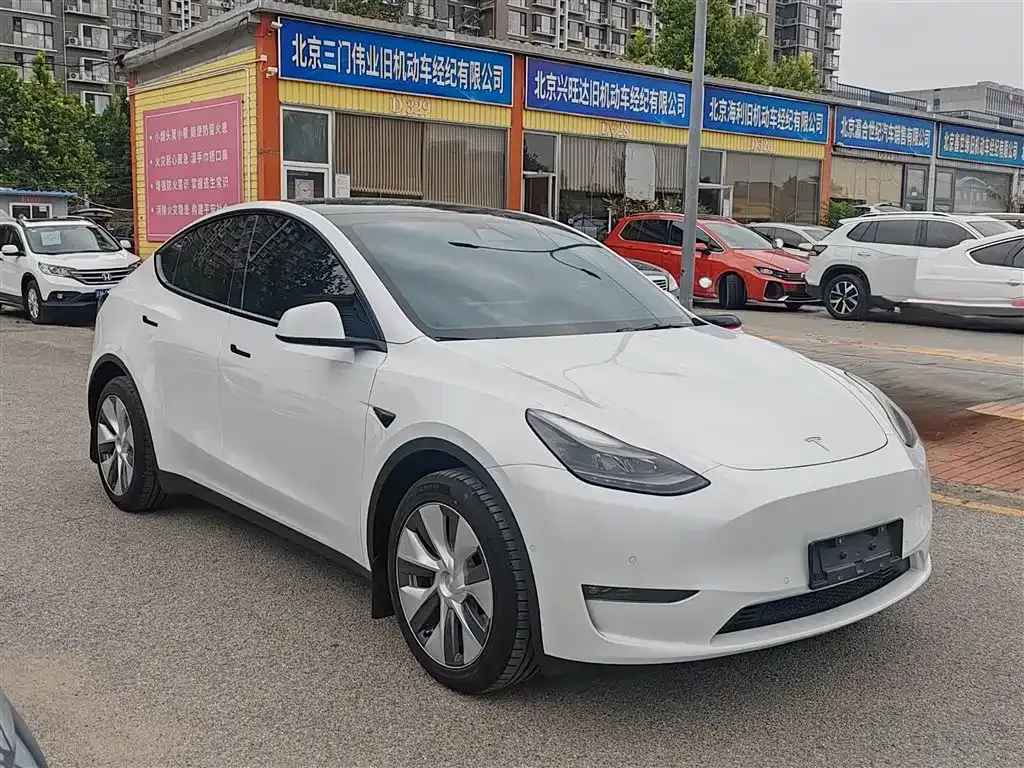 Tesla Model Y — фото 1