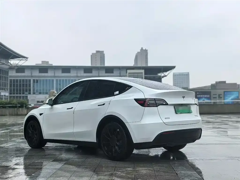 Tesla Model Y — фото 2