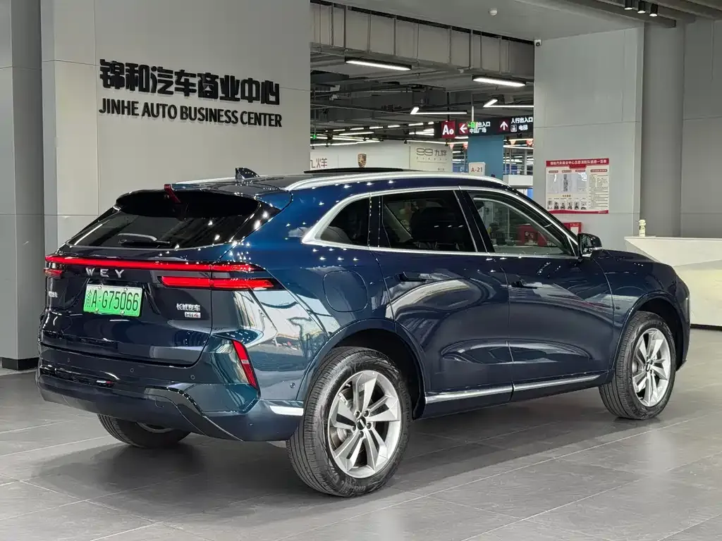 Wey Mocha New Energy 2024 из CN, фото 8