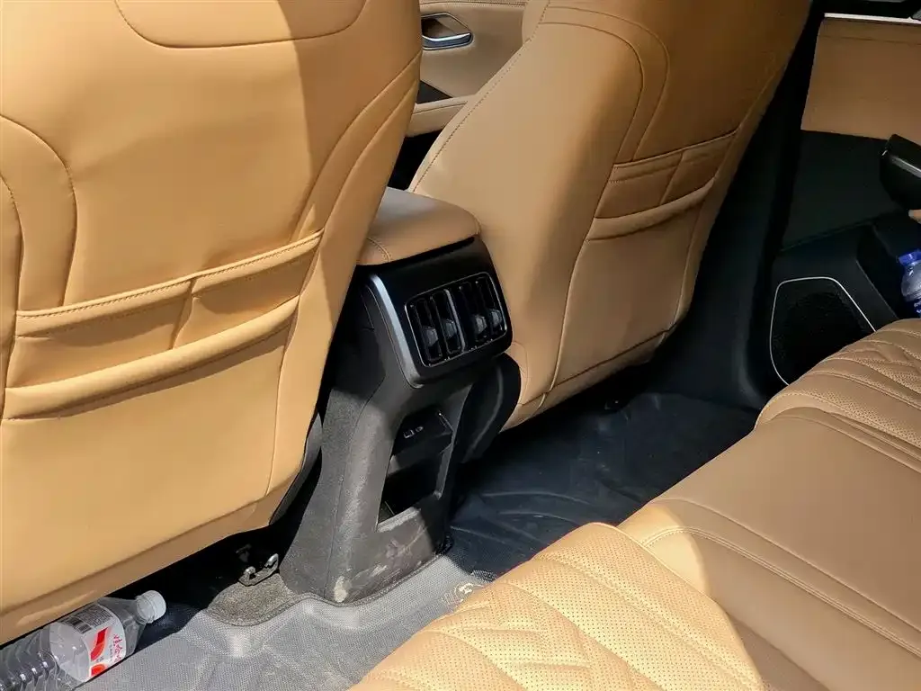 BYD L DM-i — фото 6