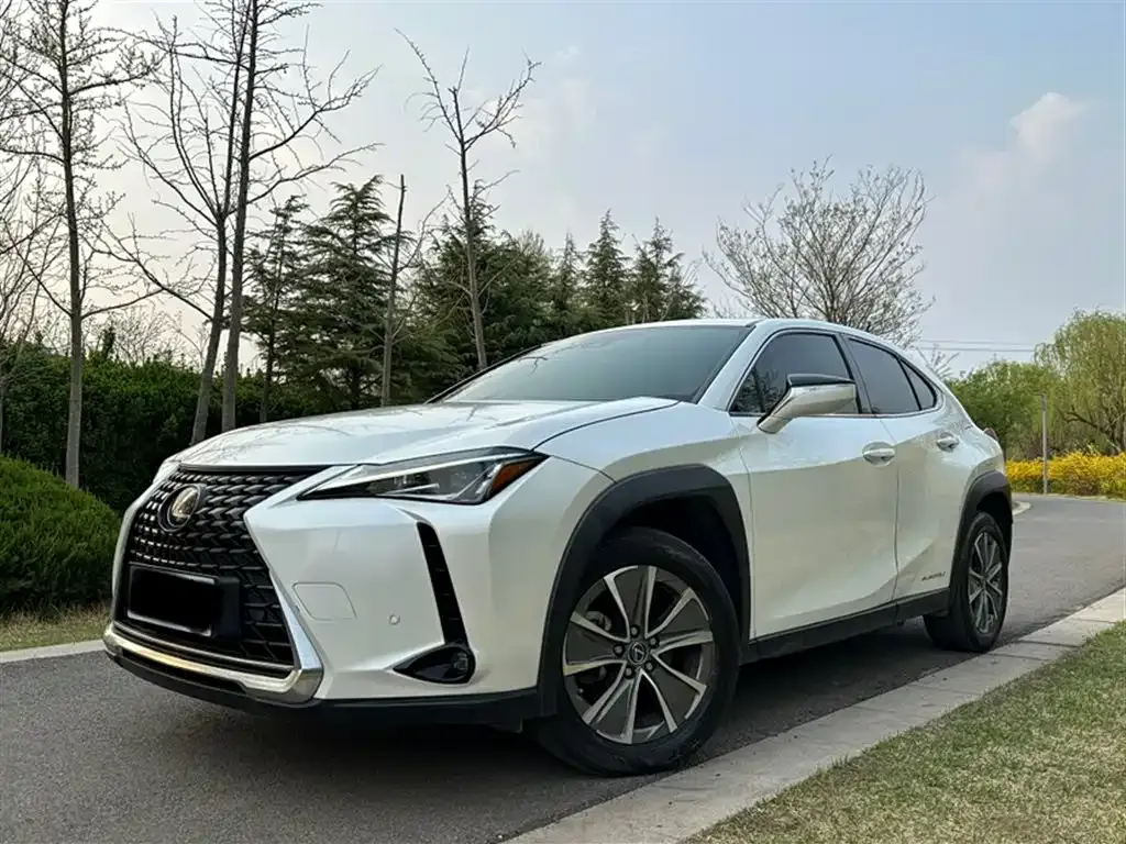 Lexus UX New Energy 2022 из CN, фото 10