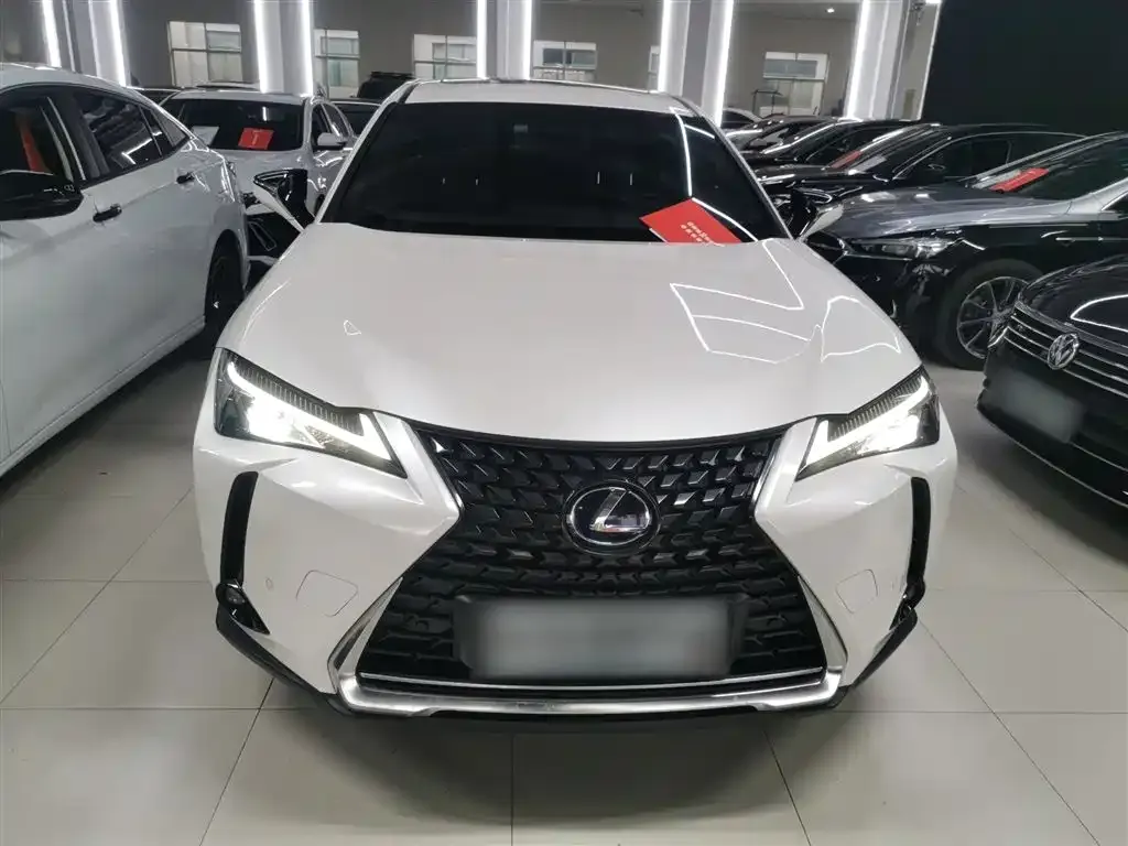 Lexus UX New Energy 2022 из CN, фото 7