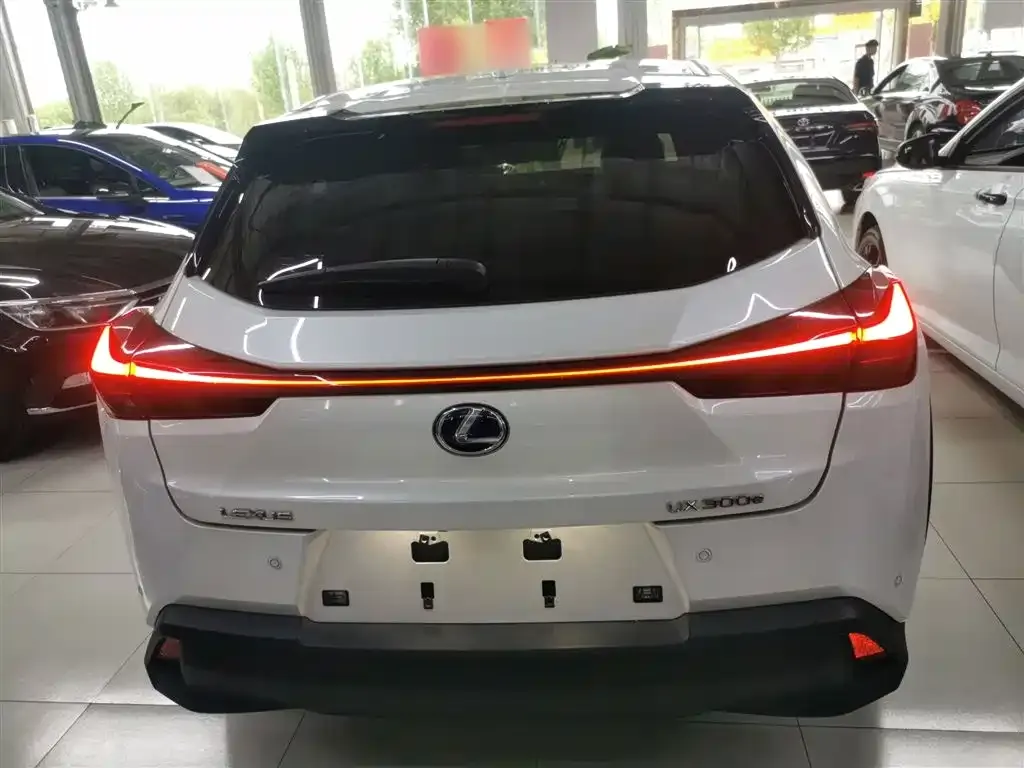 Lexus UX New Energy 2022 из CN, фото 5