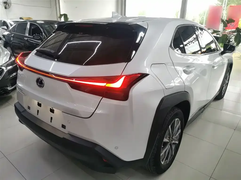 Lexus UX New Energy 2022 из CN, фото 9