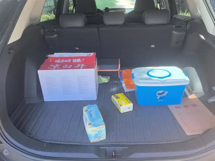 Toyota RAV4 2023 из CN, фото 2