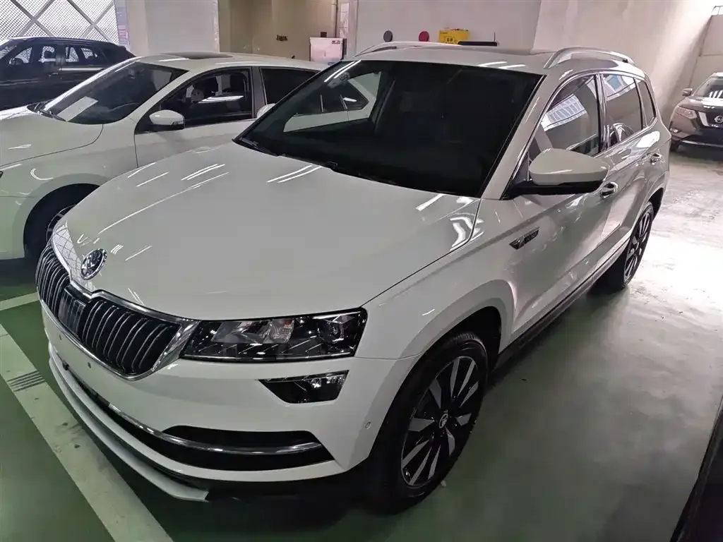 Skoda Karoq 2021 из CN, фото 5