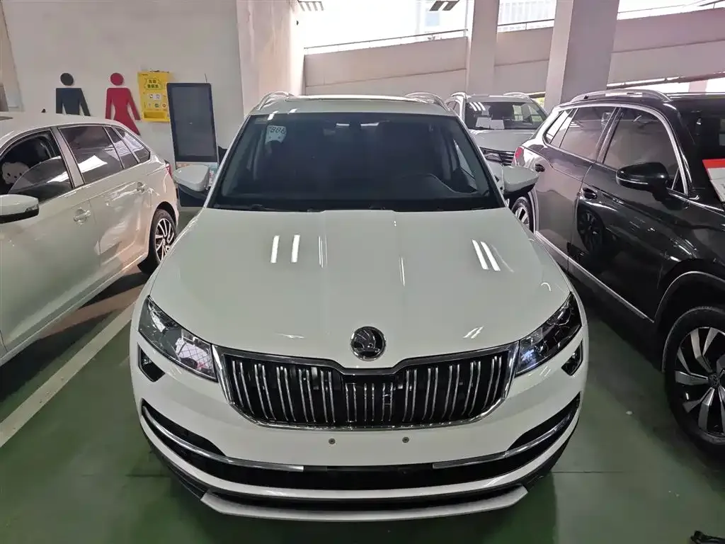 Skoda Karoq 2021 из CN, фото 8