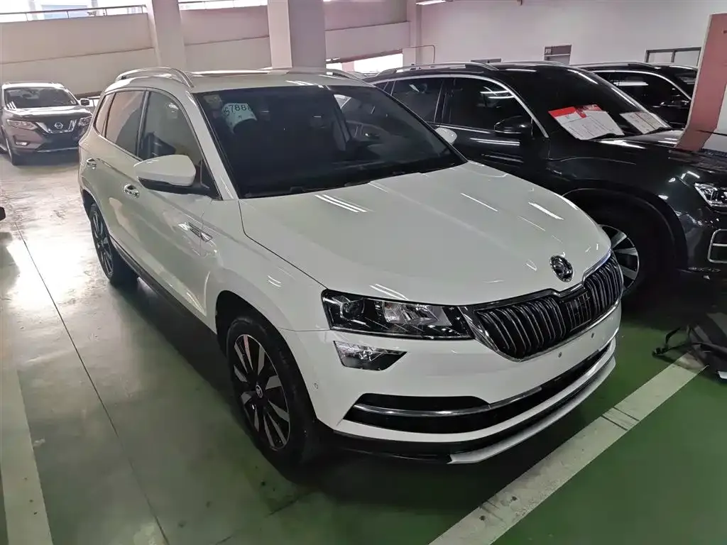 Skoda Karoq 2021 из CN, фото 3