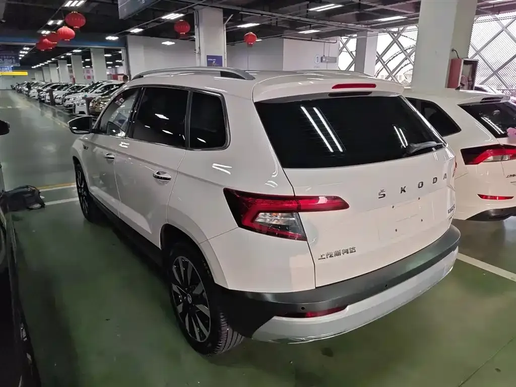 Skoda Karoq 2021 из CN, фото 6