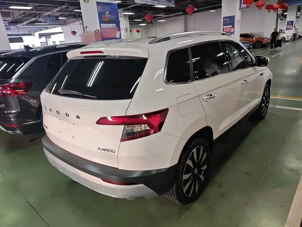 Skoda Karoq 2021 из CN, фото 7