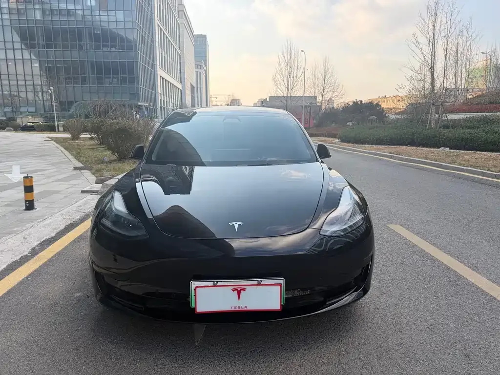 Tesla Model 3 2023 из CN, фото 7