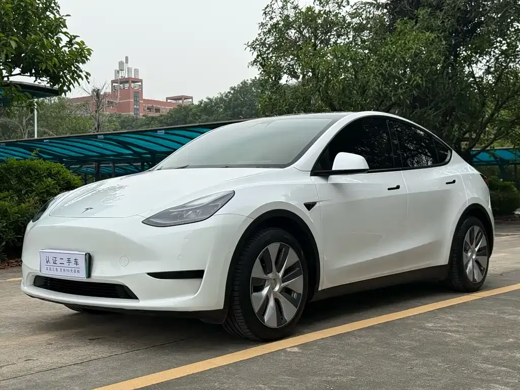 Tesla Model Y 2022 из CN, фото 1
