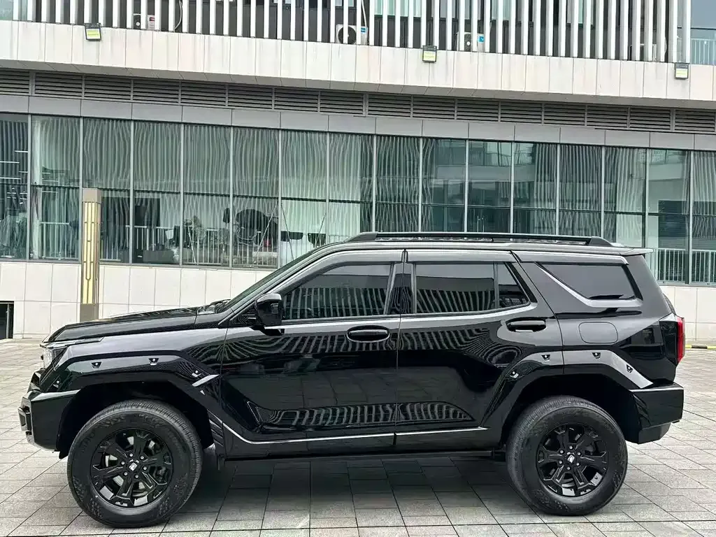 Tank 400 New Energy 2024 из CN, фото 9