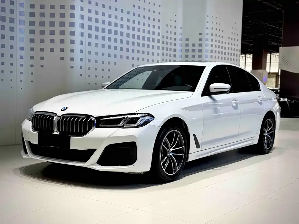 BMW 5 Series (Import)