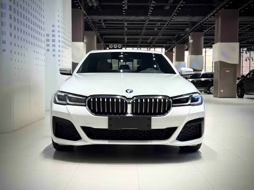 BMW 5 Series (Import) 2023 из CN, фото 5
