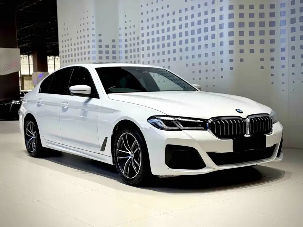 BMW 5 Series (Import) 2023 из CN, фото 4