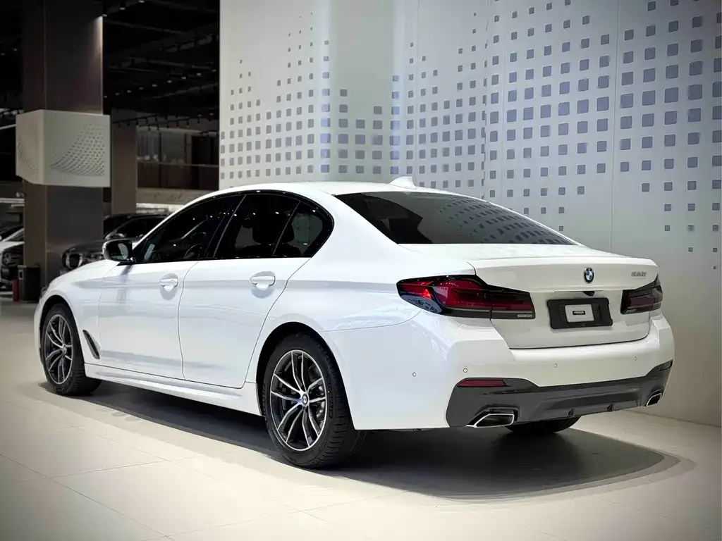 BMW 5 Series (Import) 2023 из CN, фото 6