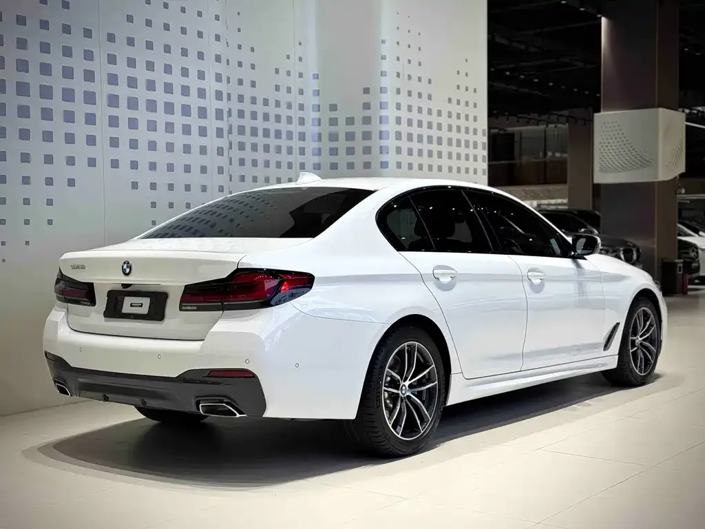 BMW 5 Series (Import) 2023 из CN, фото 8