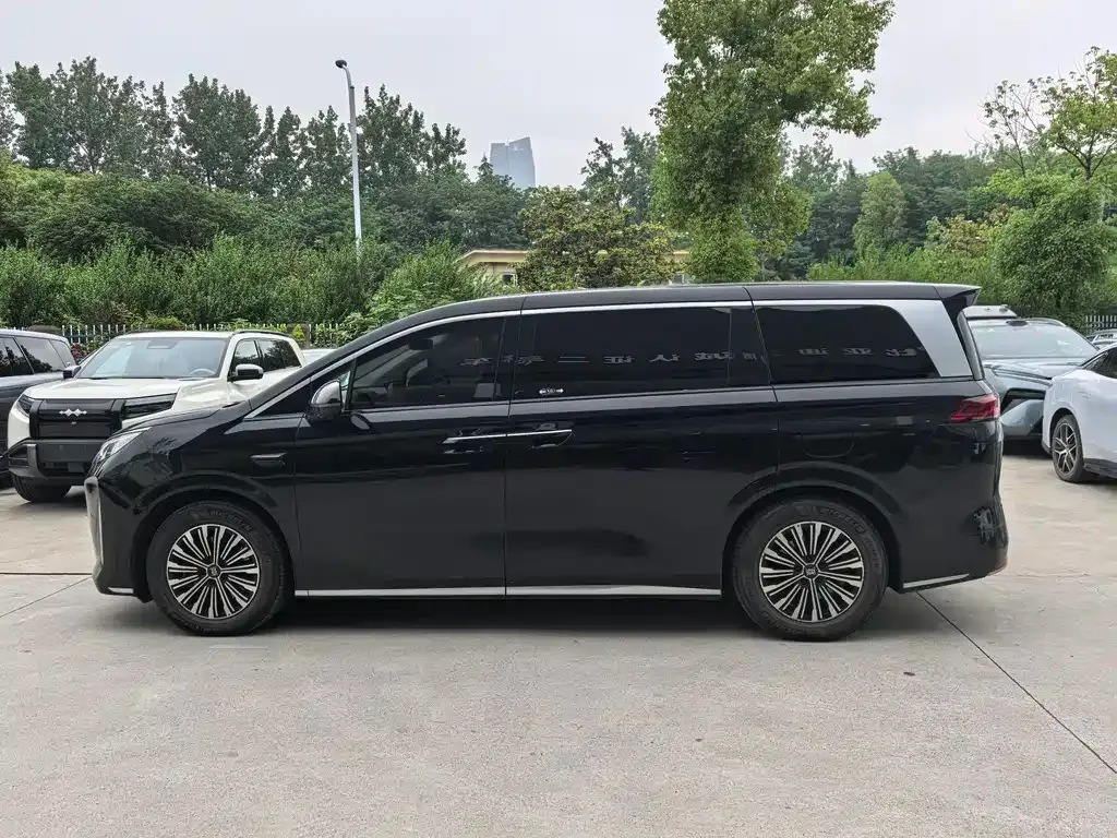 BYD Xia 2025 из CN, фото 5
