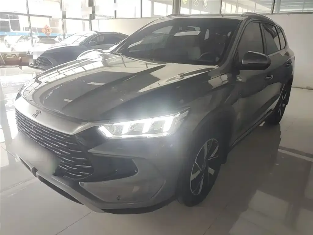 BYD Pro New Energy — фото 6