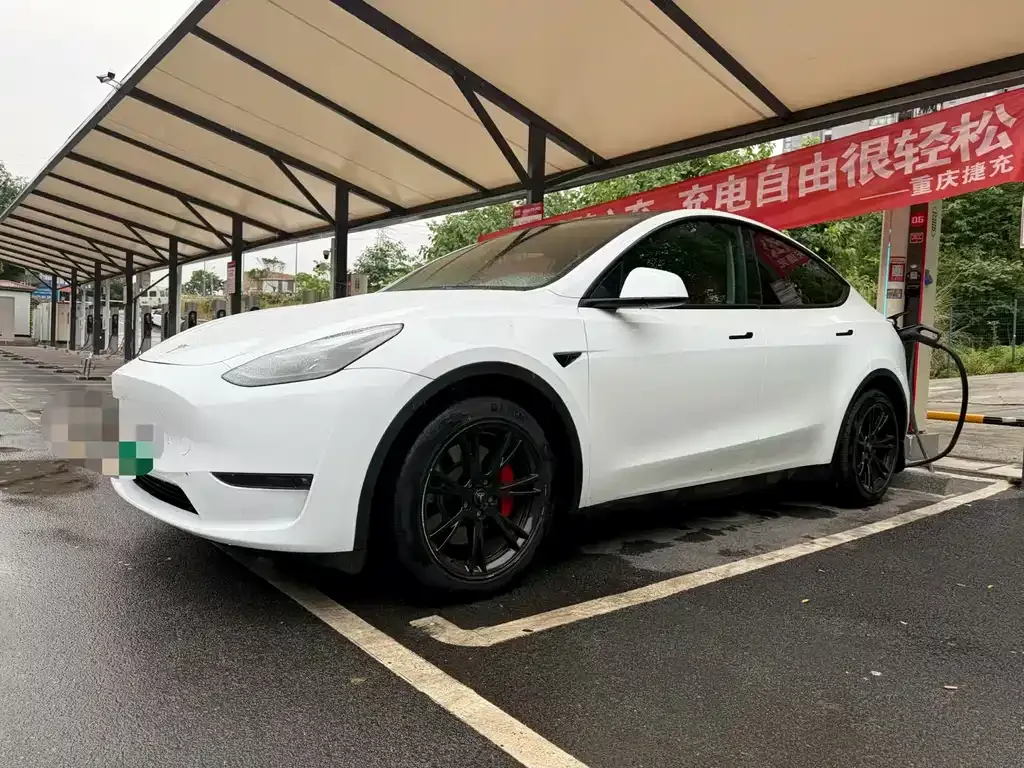 Tesla Model Y — фото 1