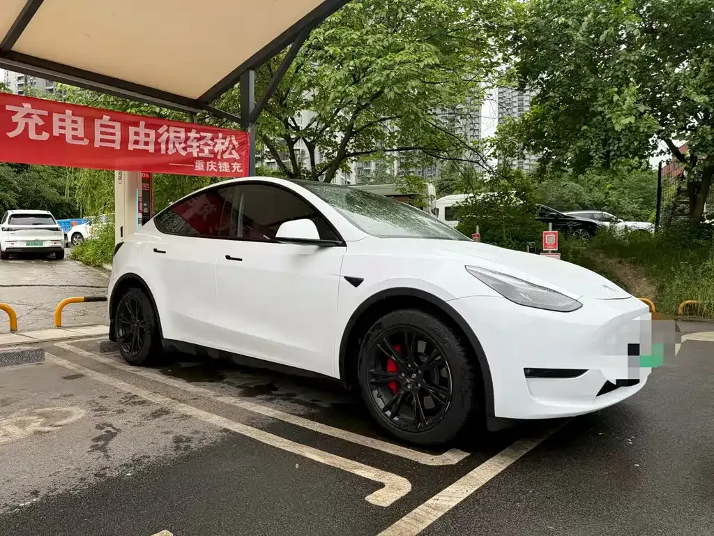 Tesla Model Y — фото 4