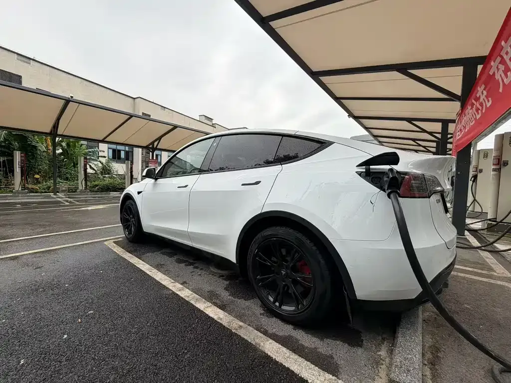 Tesla Model Y — фото 3